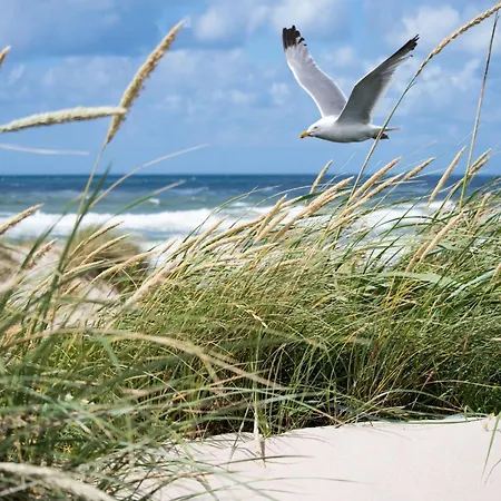 Family Comfort Near *