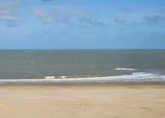 Family Comfort Near Apartamento Knokke-Heist