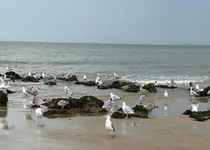 Family Comfort Near شقة