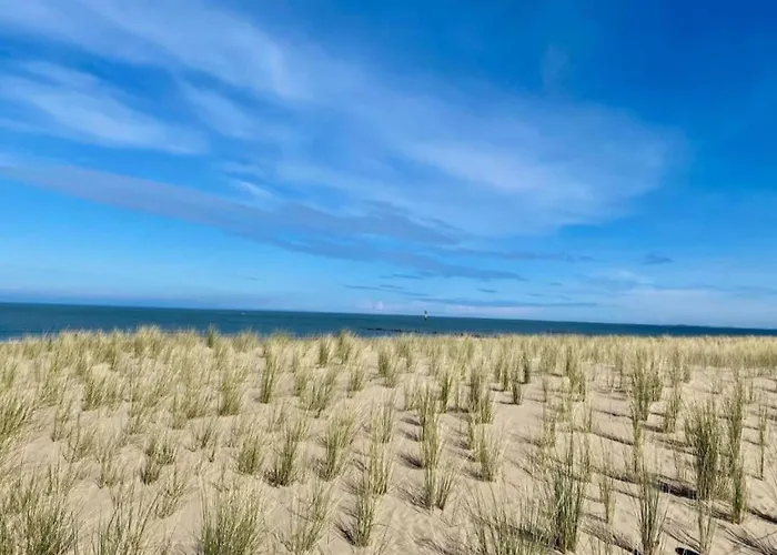 Family Comfort Near Knokke-Heist