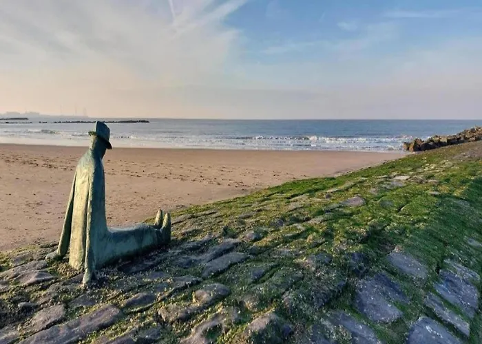 Apartamento Family Comfort Near *