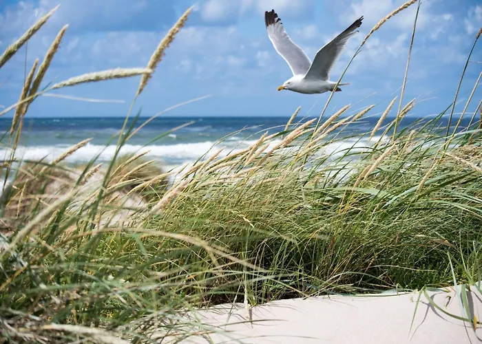 Family Comfort Near *